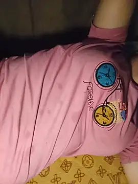 Ppmaivang webcam