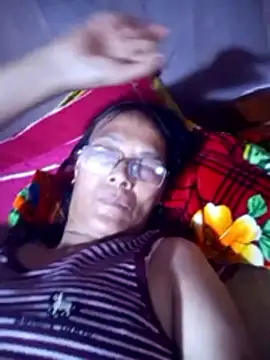 toyo_668 webcam