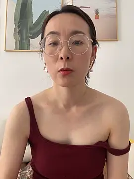 you-520 webcam