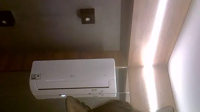 SkinnyKitten webcam