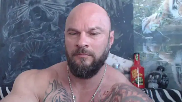 viking_30 webcam