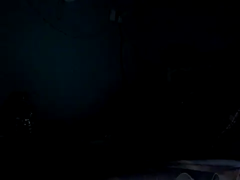 funalu webcam