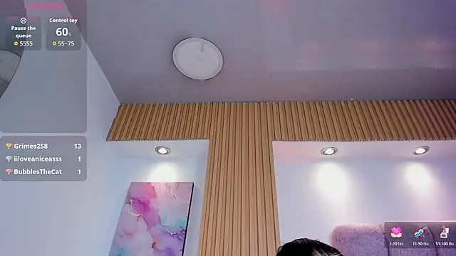 1Sloppy_Fox4 webcam