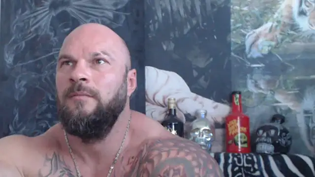 viking_30 webcam