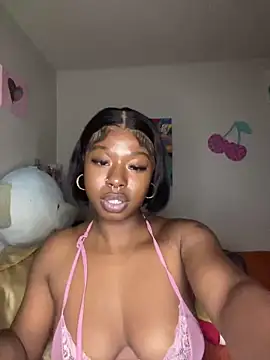 TinyBlazian901 webcam