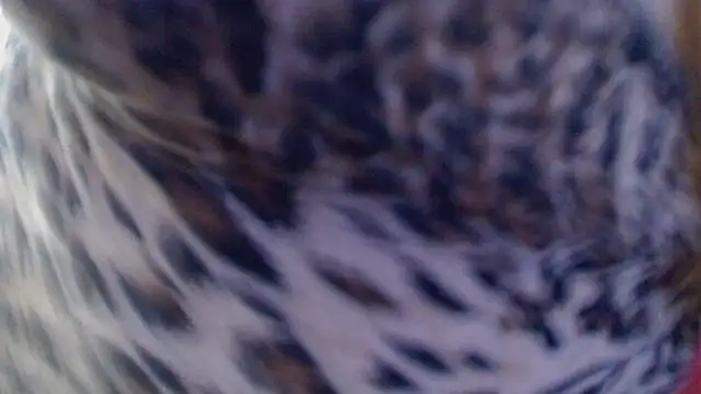 Ireallysquirt webcam