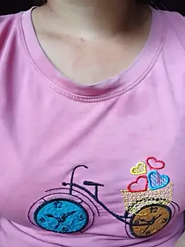 Ppmaivang webcam