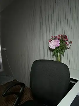 Hopefully_ webcam