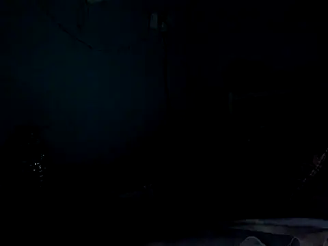 funalu webcam