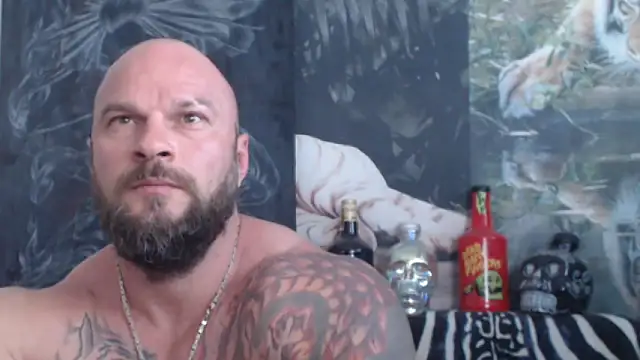 viking_30 webcam