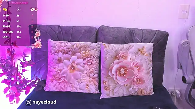 NayeCloud webcam