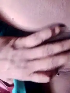 Anitarakkoli webcam
