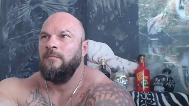 viking_30 webcam