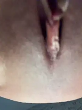 lorry6 webcam