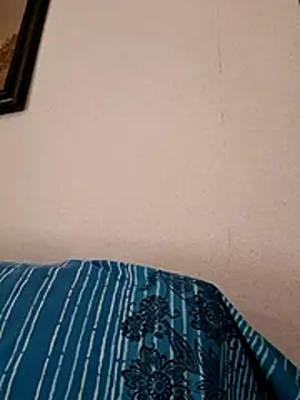 Sony28v webcam