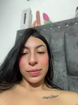 Velunett webcam