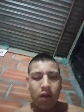perloon