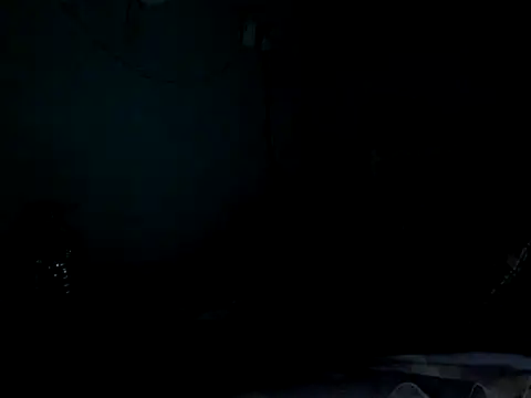 funalu webcam