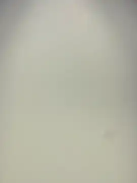 Miia__Taylor live cam