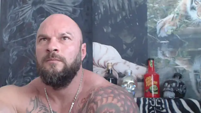 viking_30 webcam