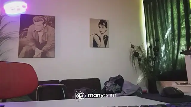 der_dino30 webcam