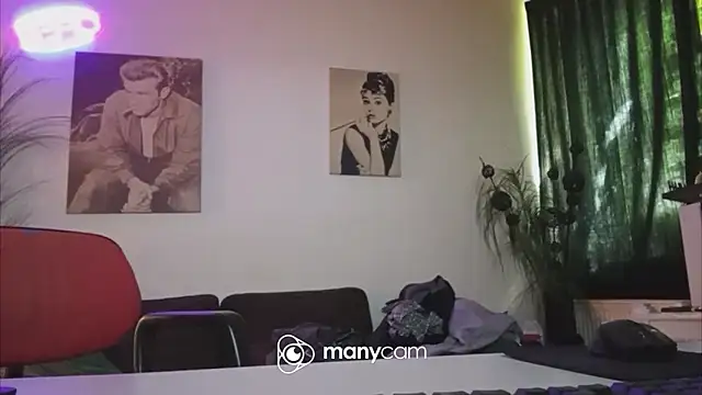 der_dino30 webcam