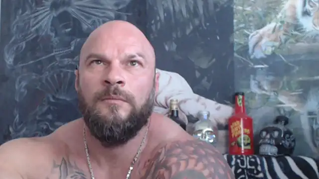 viking_30 live cam