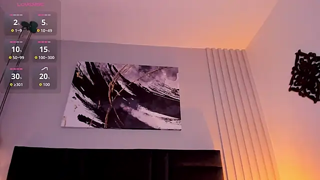 evazul webcam