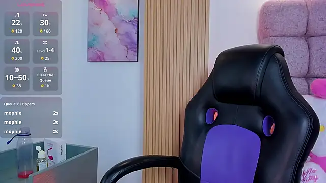 1Sloppy_Fox4 webcam
