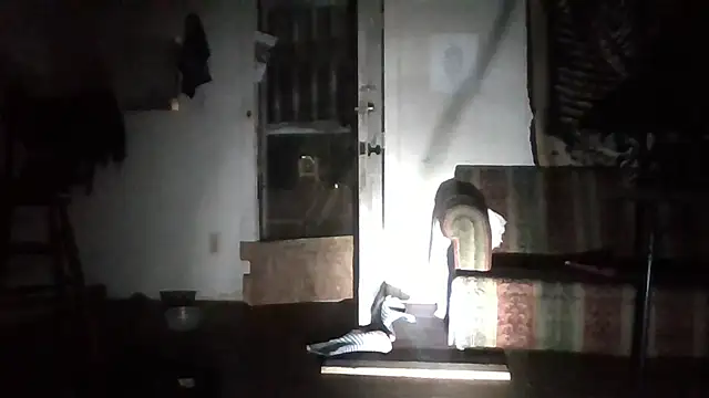 truthreal8387 webcam