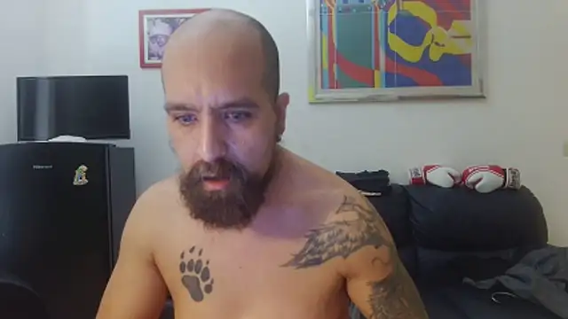 AMIRDIB2025 webcam