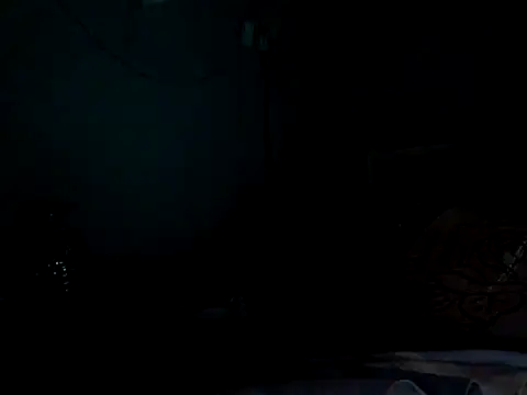 funalu webcam
