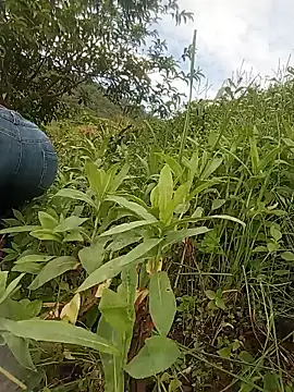 Heryy_xx webcam