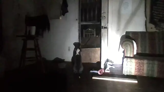 truthreal8387 webcam