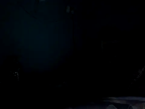 funalu webcam
