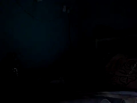 funalu webcam