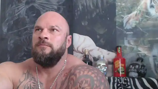 viking_30 webcam