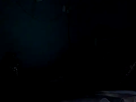 funalu webcam