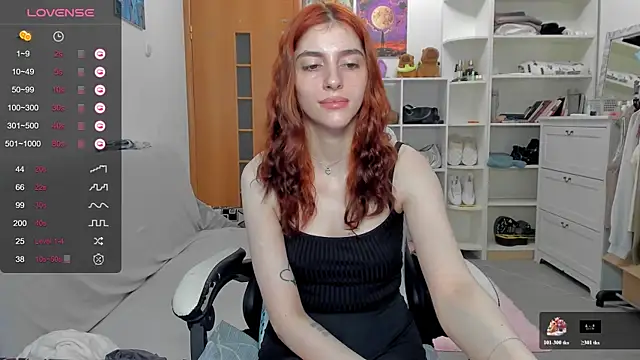 broosnica1 webcam