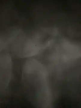 I_Am_your__dream webcam
