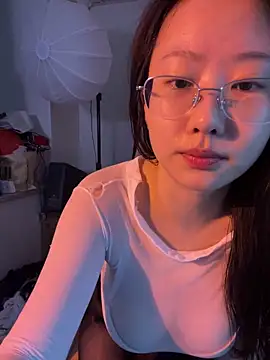 Ay518 webcam