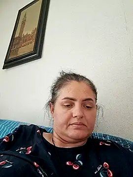 Sony28v webcam