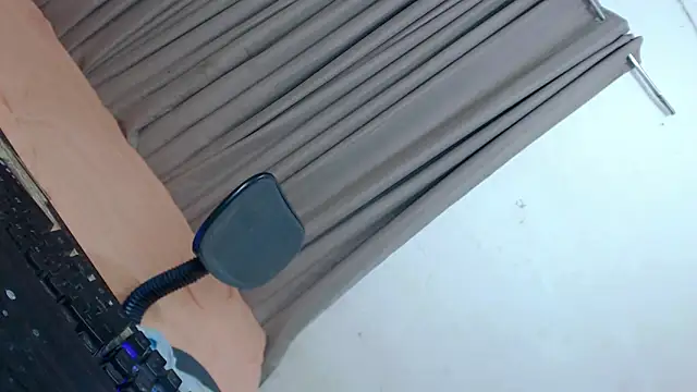 PerfectLadyvoy webcam