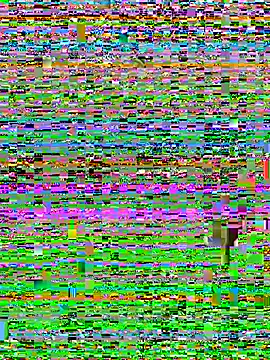 Saly3883 webcam