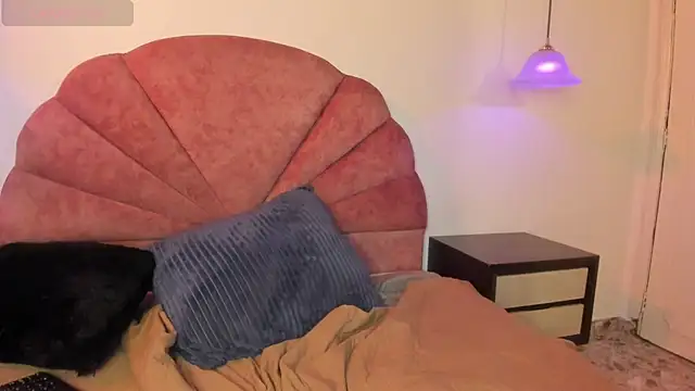 VelvetRaven_ webcam