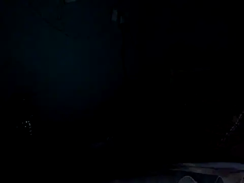 funalu webcam