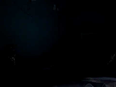 funalu webcam