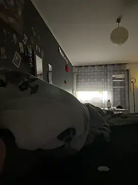 Mohdollmen webcam