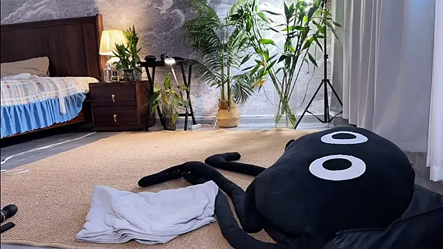 meowLili webcam