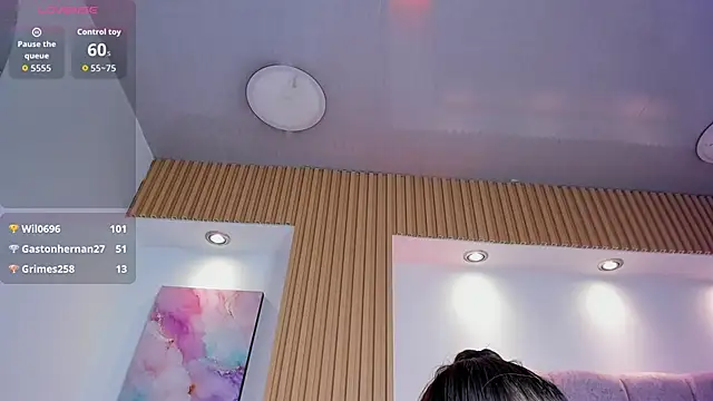 1Sloppy_Fox4 webcam